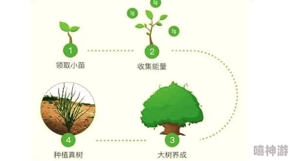 蚂蚁森林能量怎么快速获取？