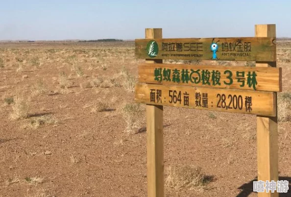 蚂蚁森林能量怎么快速获取？