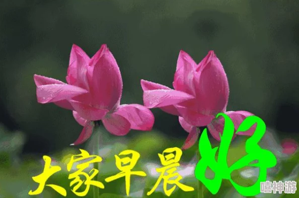 《无限暖暖》新商城套装有哪些值得期待的亮点？