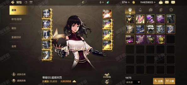 《DNF手游》女圣骑士装备如何搭配才能发挥最大潜力？